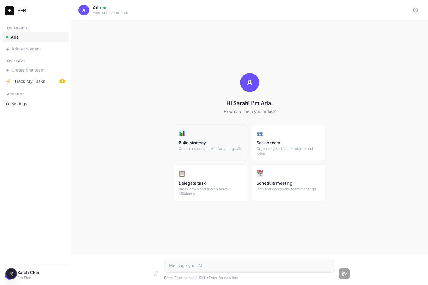 Mr.Chief chat assistant home